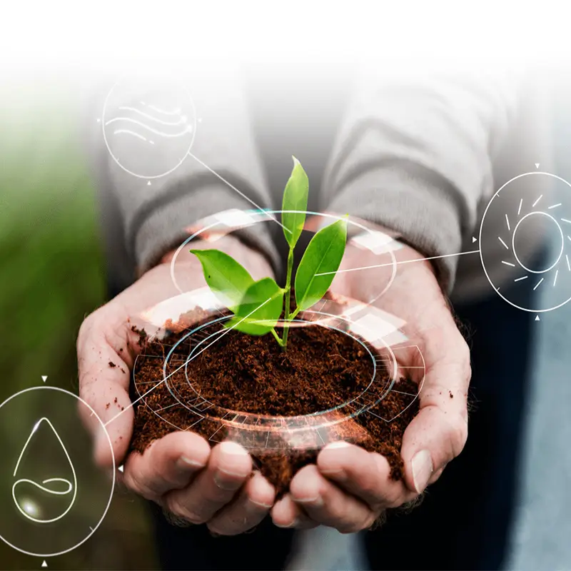 Farm Self-Sufficiency: Pros & Cons
