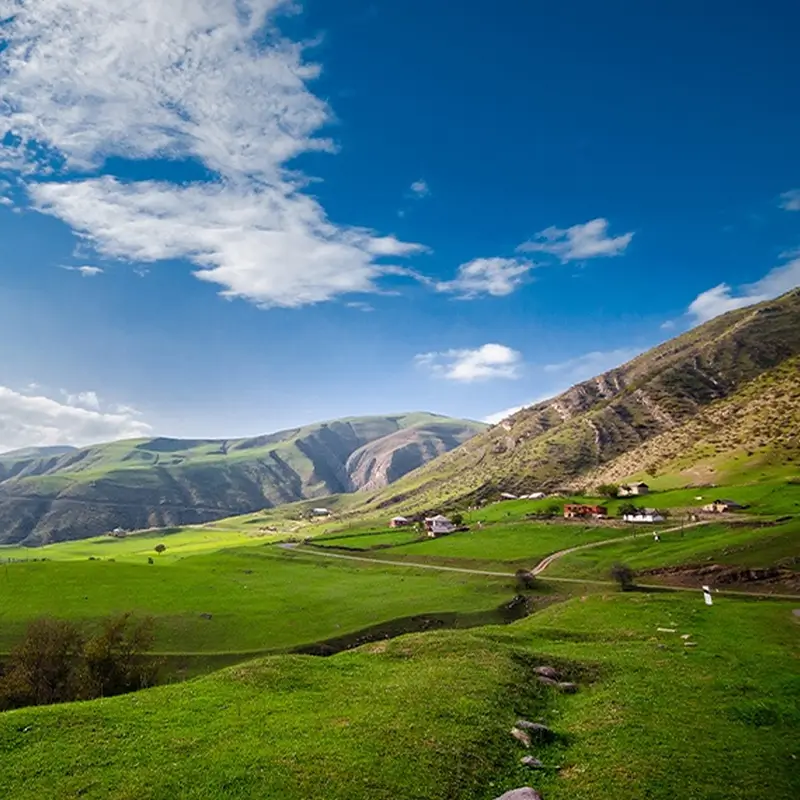 Articles 30 Diverse Climate & Strategic Crops