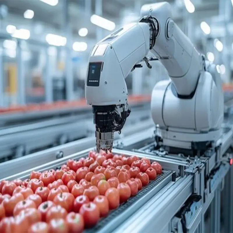 Advancing Food Security Tech in Iran