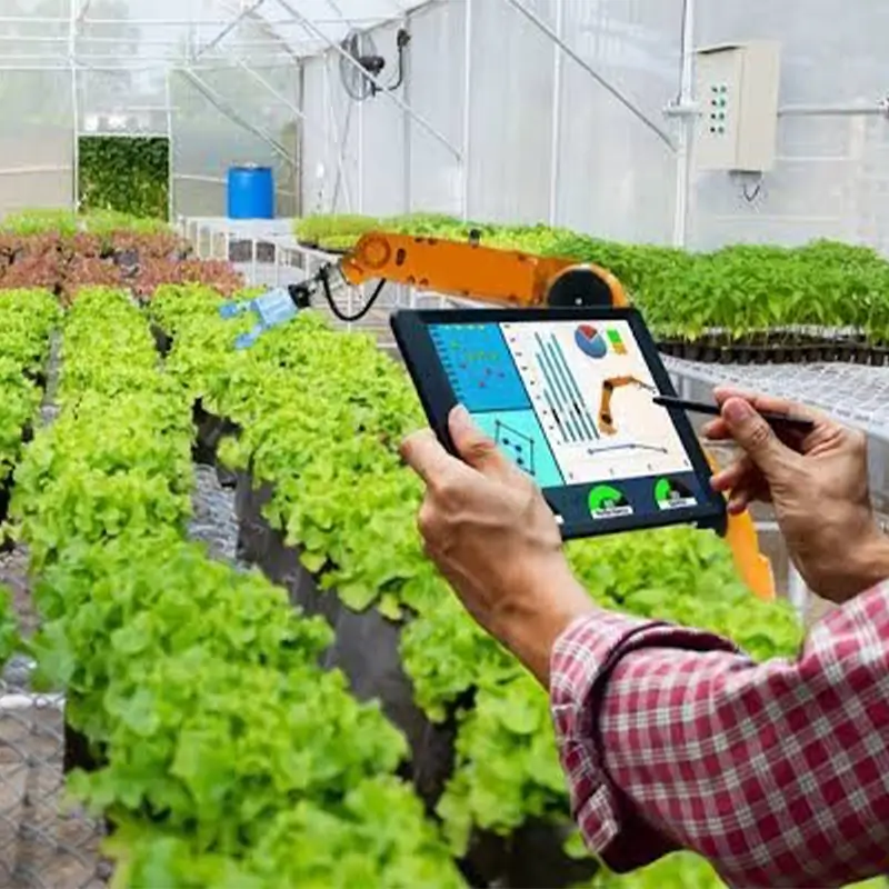 Tech in Supply Chains & Food Security