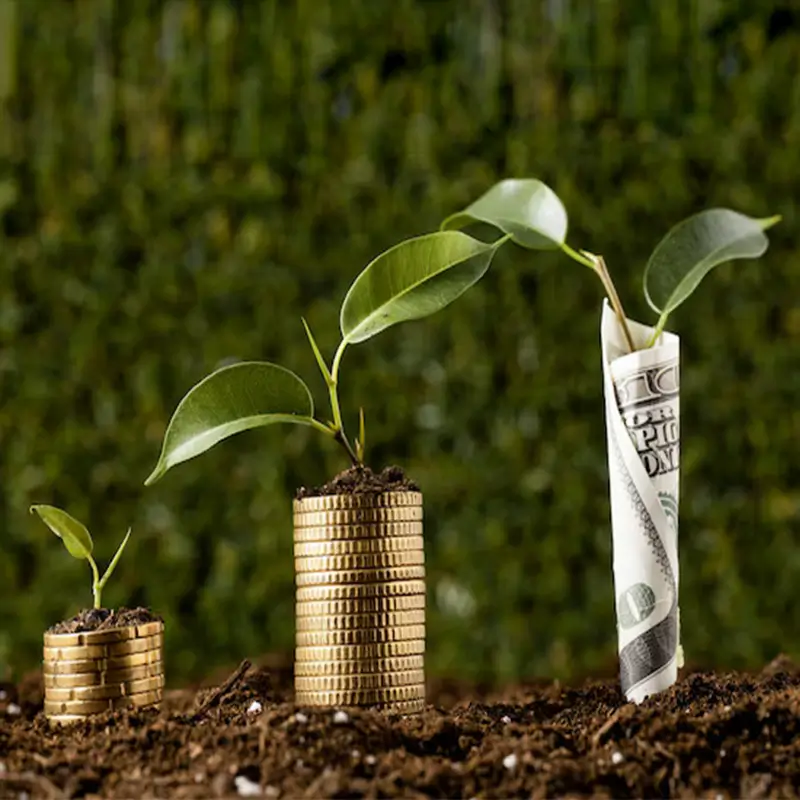 Agricultural Growth via Investment & Tech