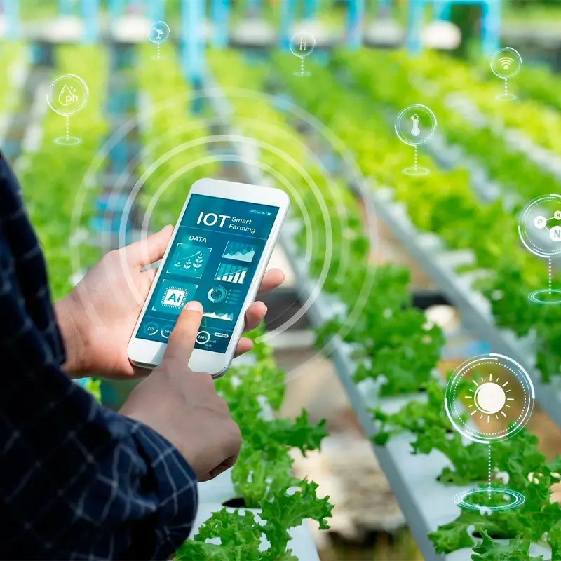 Digitization in Farming: Impact & Future