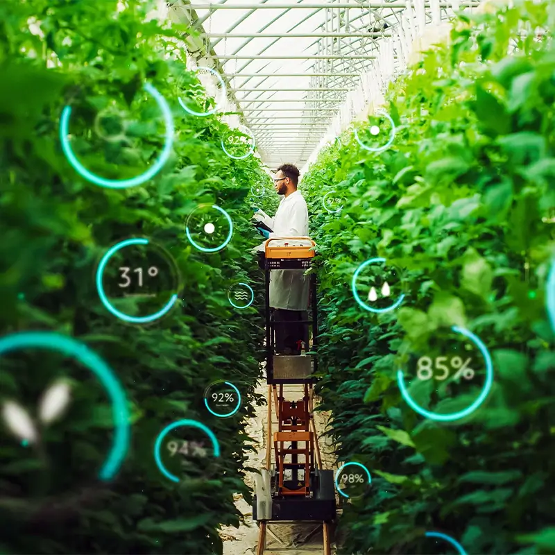 Big Data’s Role in Smart Farming