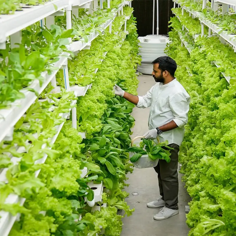 Vertical Farming and Land Scarcity