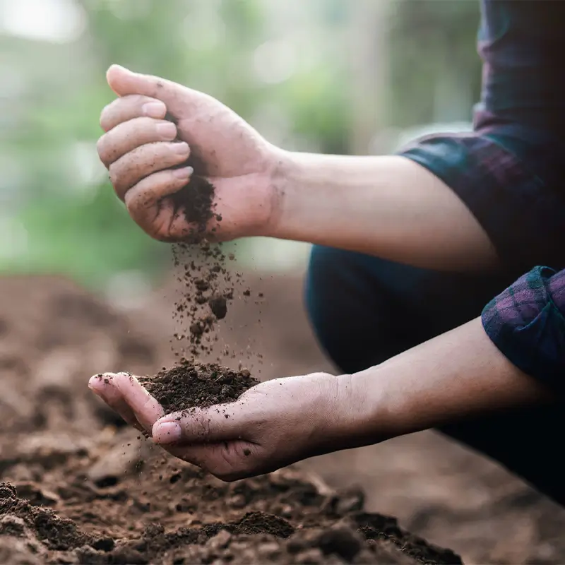 Biofilm Tech in Sustainable Crop Growth