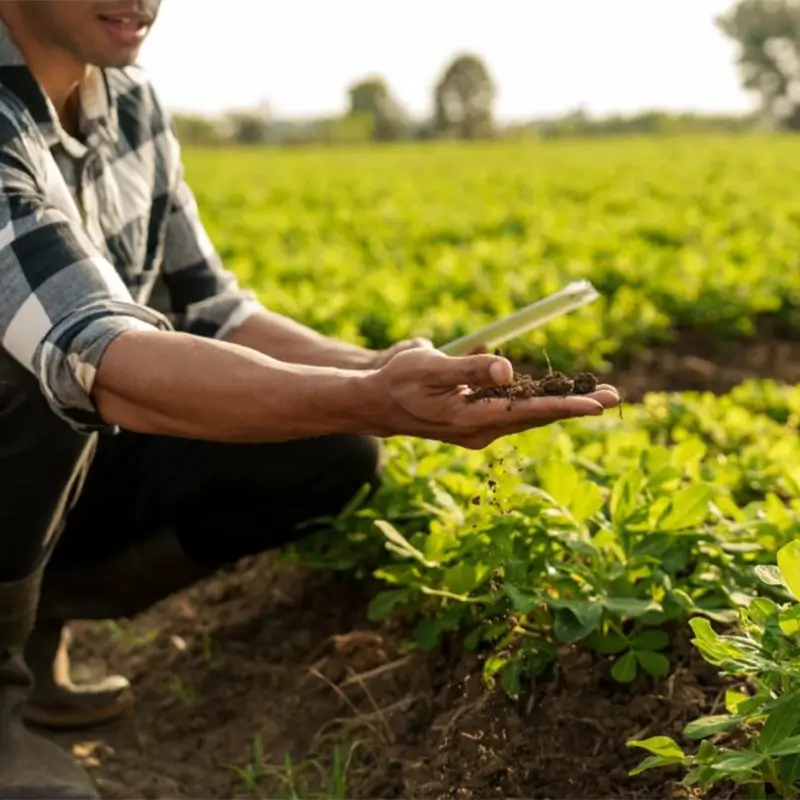 Boosting Carbon Capture with Regenerative Agriculture