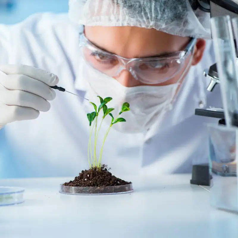 Articles 23 Innovative Investment in Agricultural Biotechnology in Iran