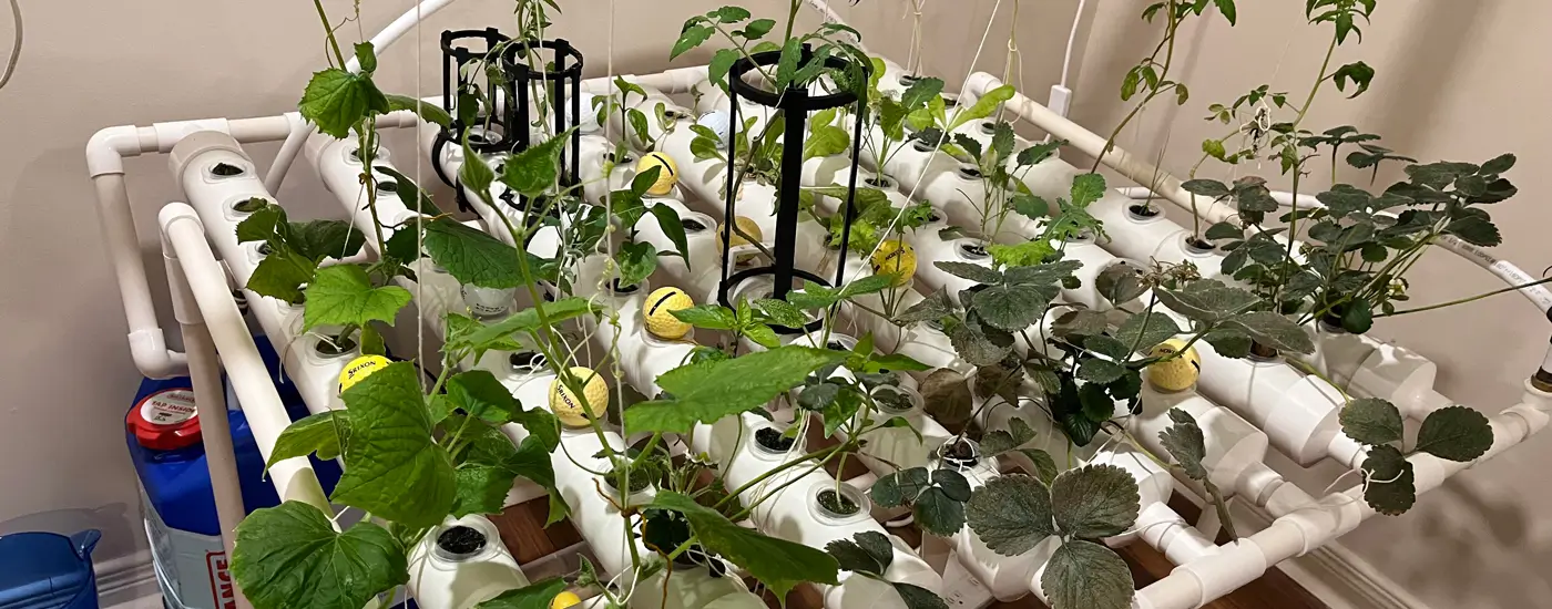 3D Printing and Hydroponics for Agricultural Module Design