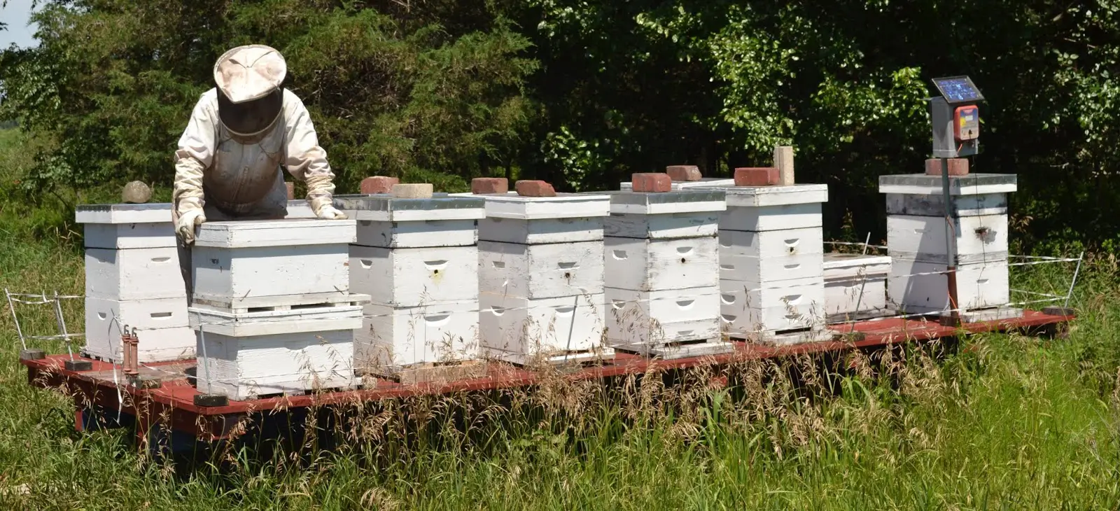 Advanced Technologies in Beekeeping How Innovations Can Transform Iran’s Honey Industry