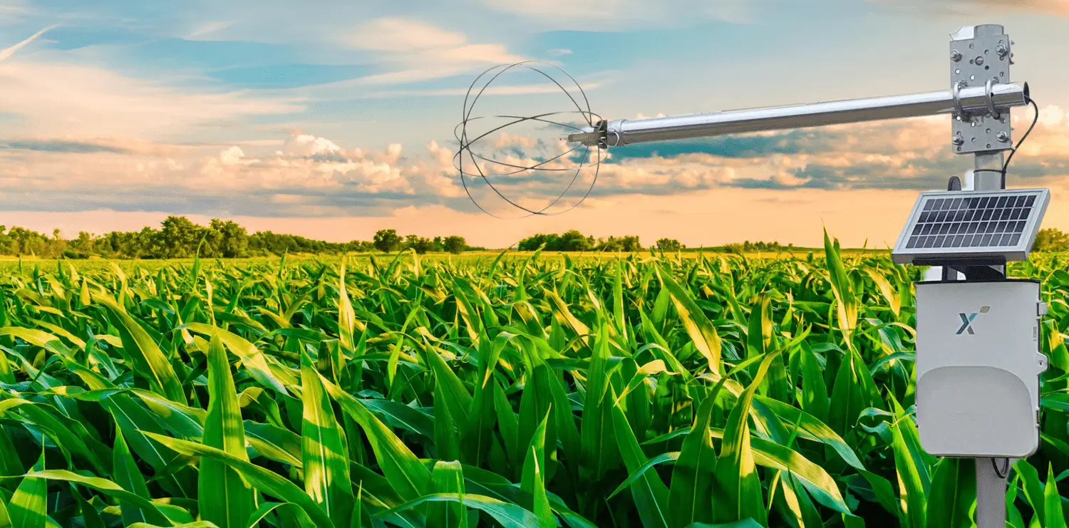 Applications and Innovations of Biosensors in Ensuring Food Safety and Quality in the Age of Technology