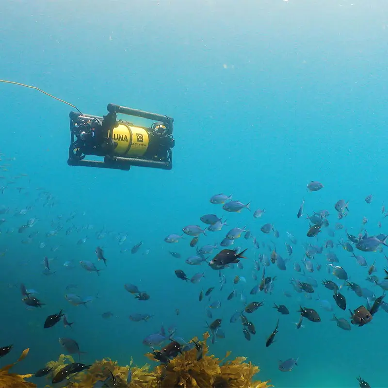 Autonomous Marine Farming with Drones and Floating Robots