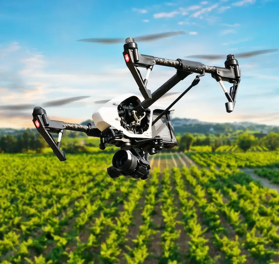 Early Detection of Plant Stress Using UV–VIS Drone Imaging