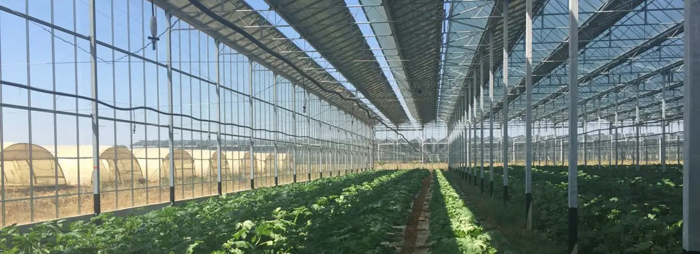 Self-Sufficient Greenhouse with Transparent Solar Panels and Smart Energy Management