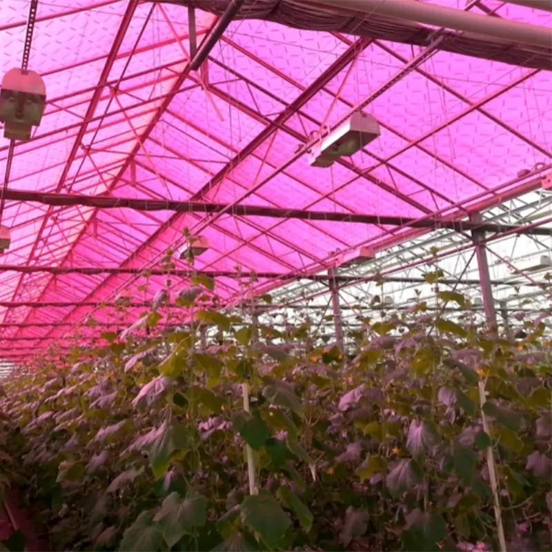 Self-Sufficient Greenhouse with Transparent Solar Panels and Smart Energy Management