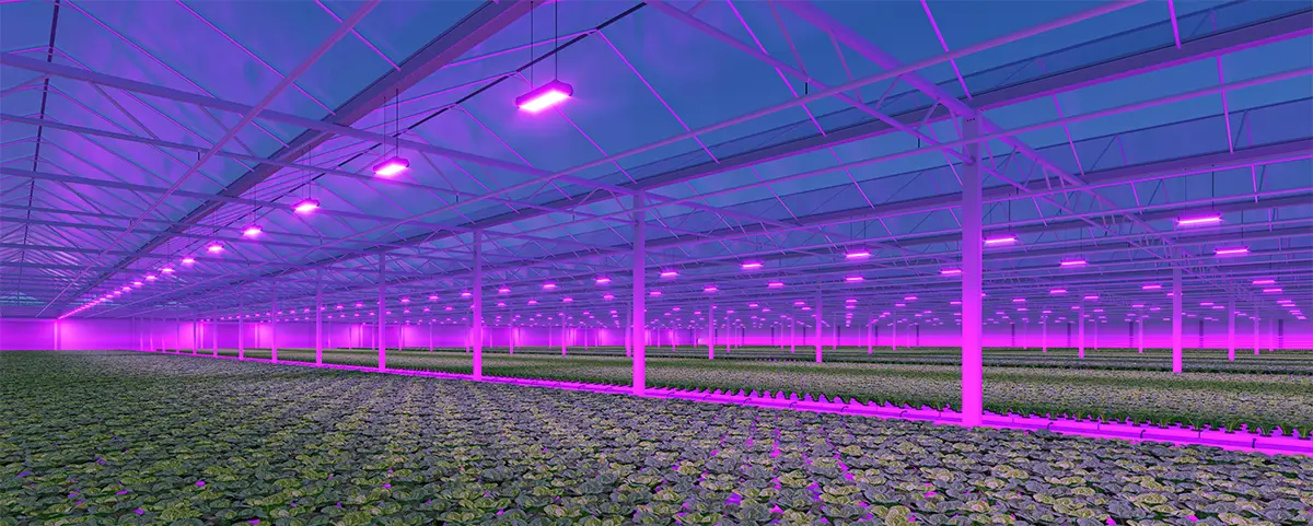 Spectral Lighting Technology in Greenhouses to Enhance Crop Growth and Quality